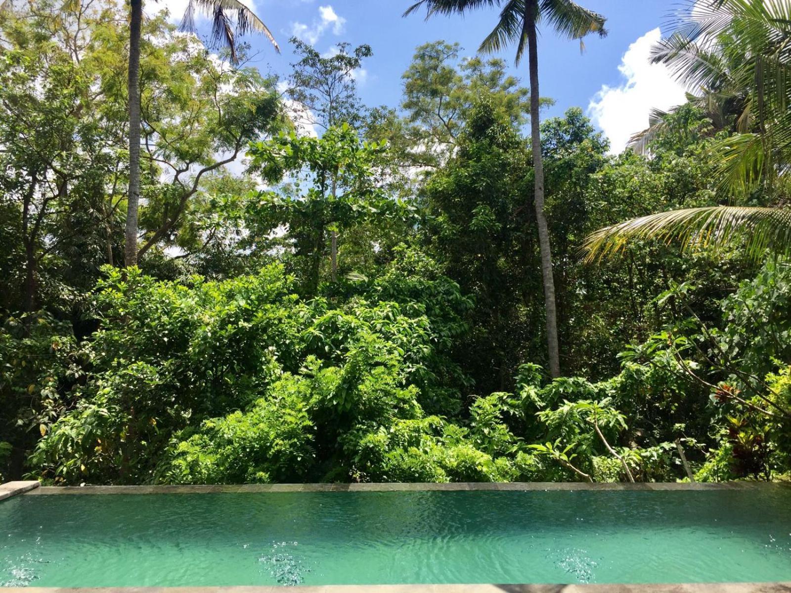 Villa Mahesa Ubud  Ngoại thất bức ảnh